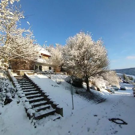 Gemuetliche Wohnung Mit Kamin - Sunny Hill Holiday Home Echternacherbruck Exterior photo