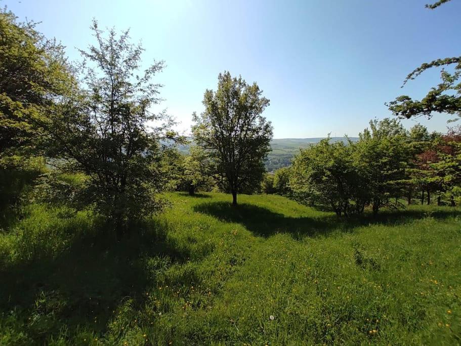 Apartment Gemuetliche Mit Kamin - Sunny Hill